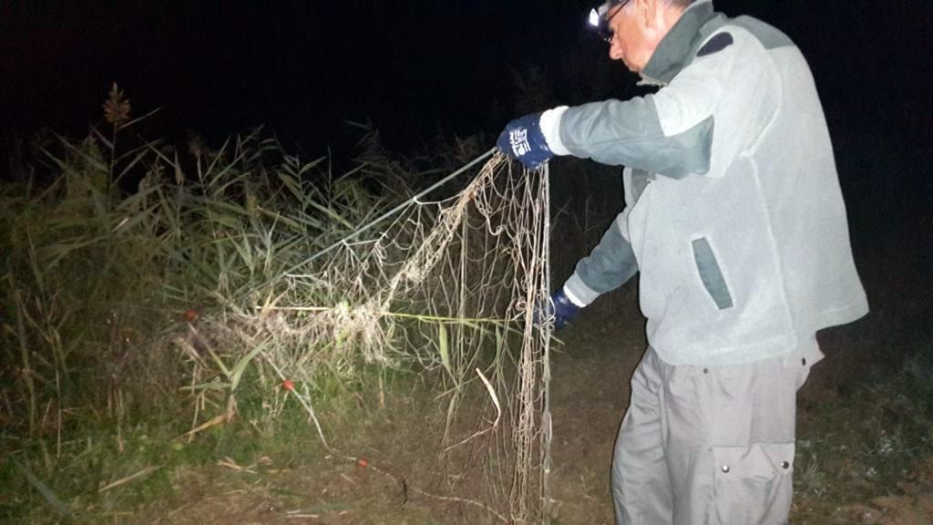 Ostellato, multe e sequestri contro i pescatori di frodo