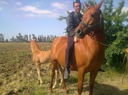 Cade da un trattore e muore in ospedale trentenne di Samassi 