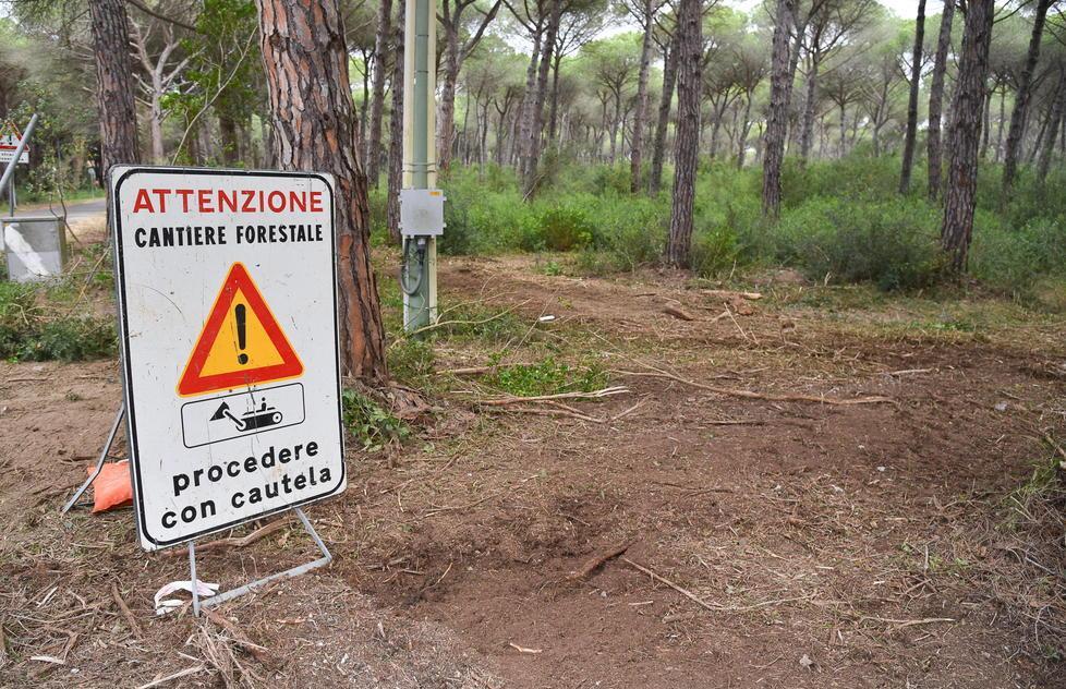 Piano antincendi, macchine in funzione in pineta 