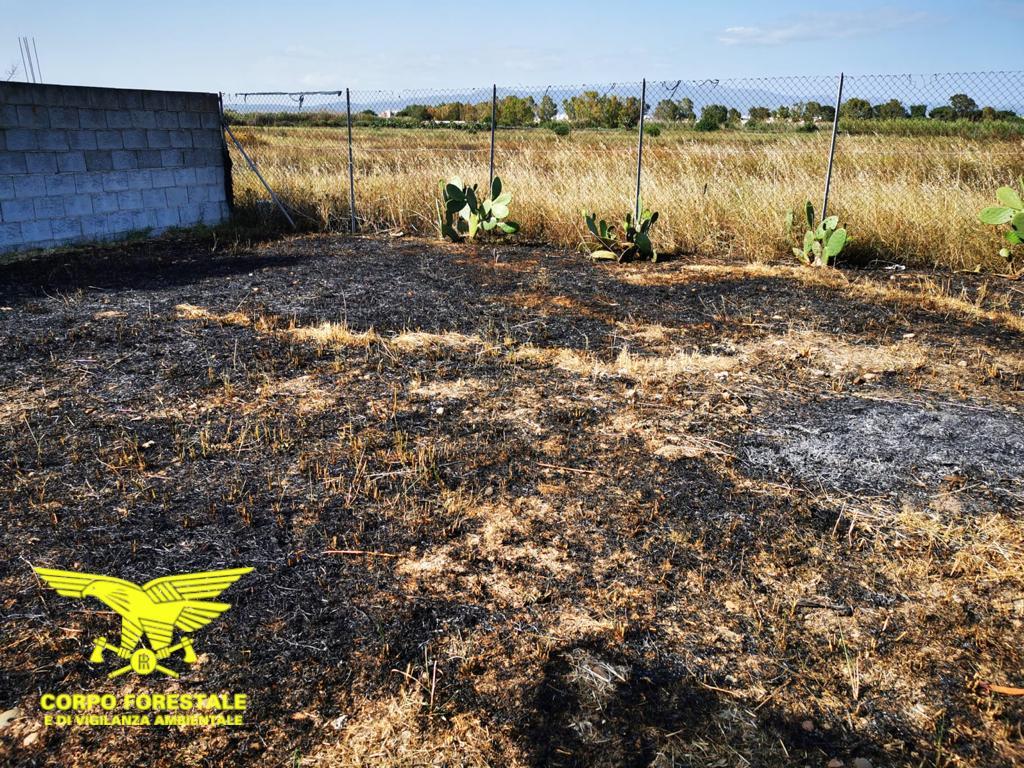 Quartu, brucia l'erba secca e le fiamme arrivano fino a Molentargius e a un'auto in sosta