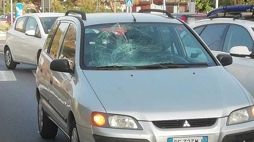 Calci e pugni all’agente: condannato a un anno