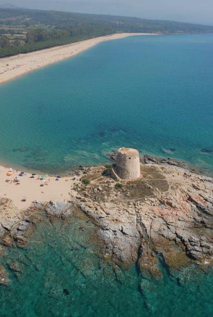 Il corriere piccolo torna nei cieli di Barisardo