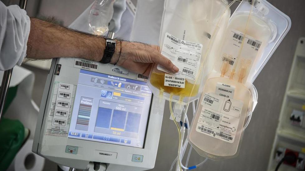 Covid, appello della Regione ai guariti per donare il plasma