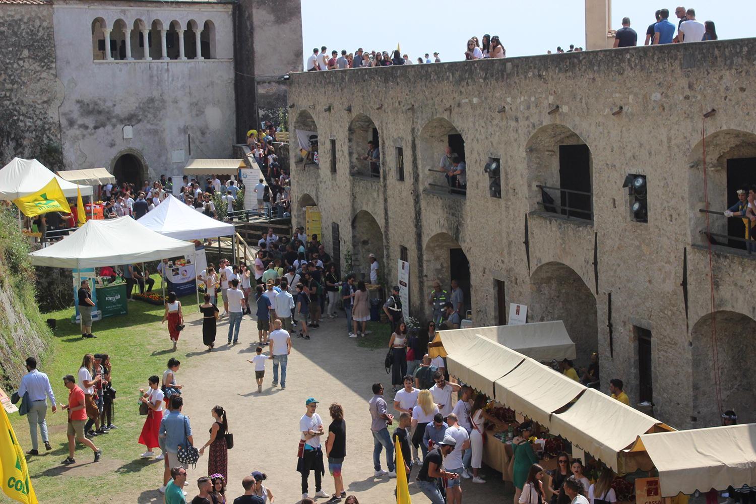 Castello Malaspina, ritorna l'ipotesi dell'ascensore