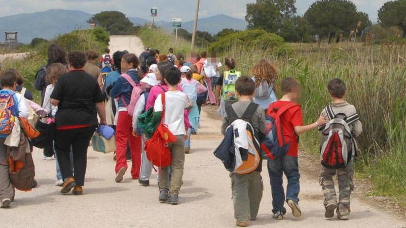Gita virtuale in Valtellina: l’idea arriva dalle Pascoli