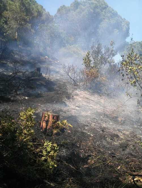 Primo incendio colposo della stagione in località Acquabona