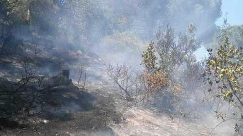 Primo incendio colposo della stagione in località Acquabona