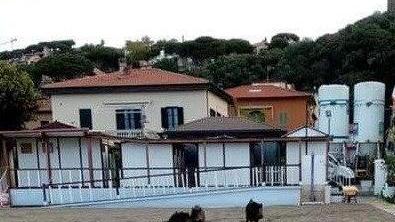 La Polizia provinciale cattura esemplari di cinghiali “vaganti” per le strade del paese