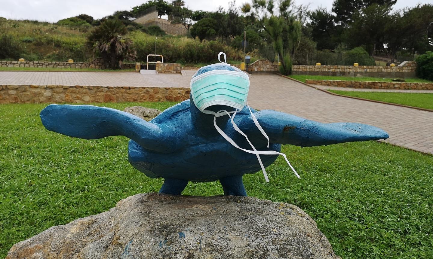 Anche la tartaruga con la mascherina