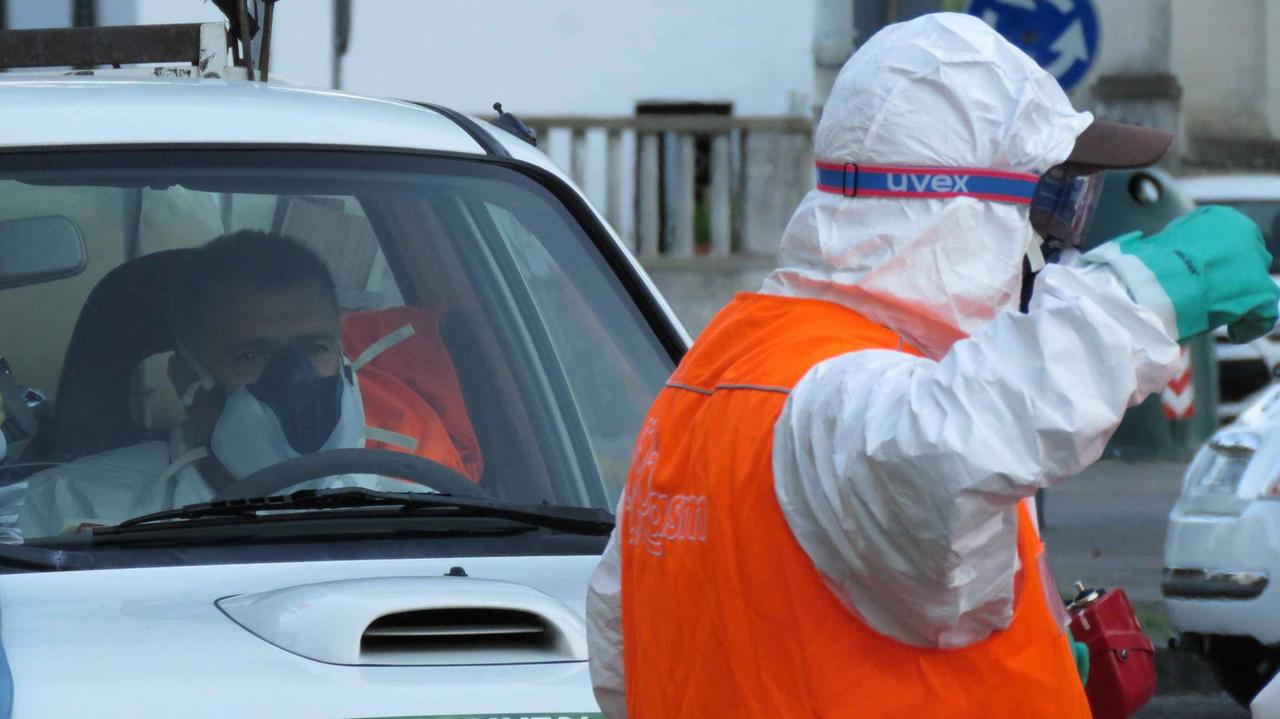 Livorno, si cercano addetti alle pulizie per le disinfestazioni