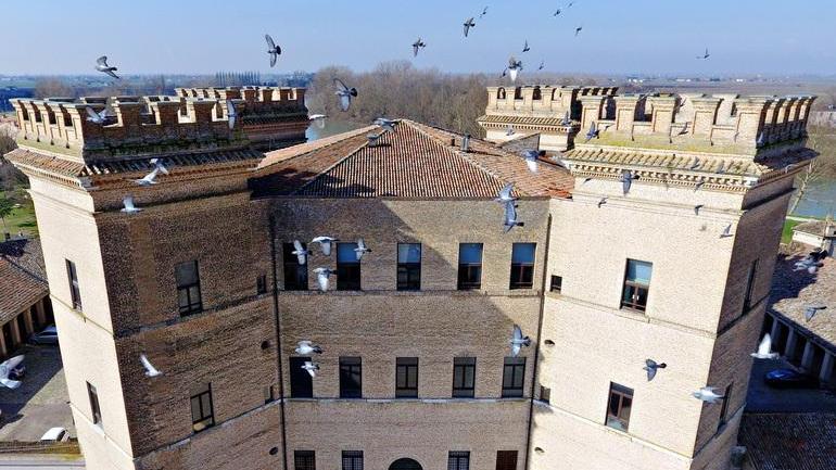 Argenta e Mesola riaprono i musei, Ferrara attende: prime visite il 30 maggio