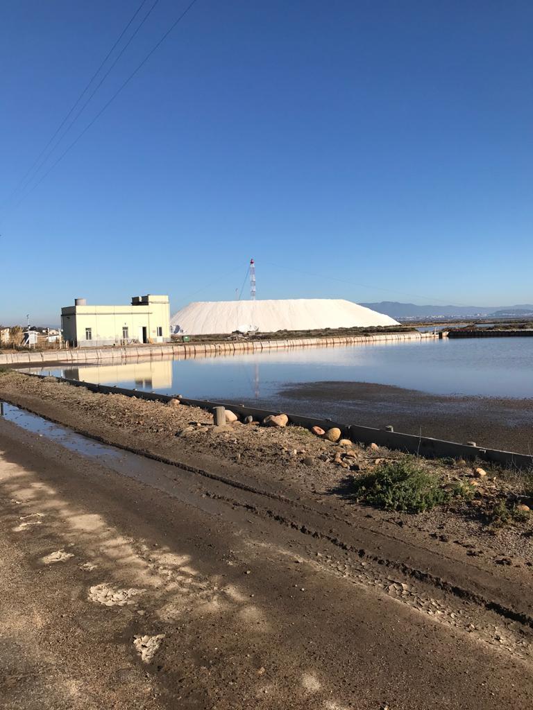 Riprendono le visite alle Saline Conti Vecchi