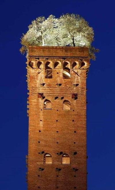 Torri e Orto Botanico riapertura “lenta” Solo gruppi ristretti su prenotazione 