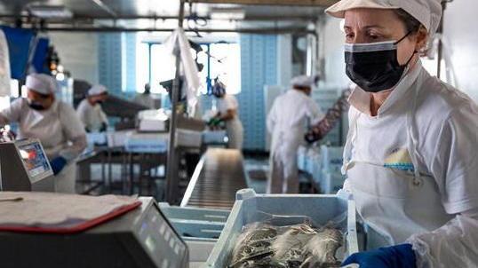 Pesca, è cambiato il mercato dopo l’emergenza Covid-19