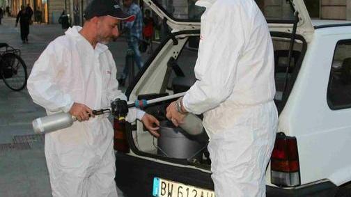 Zanzare, partito il piano per la disinfestazione