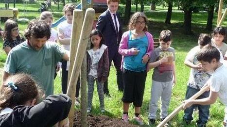 Un albero per ogni nato Messa a dimora di 309 nuove piante