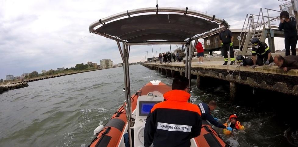 Cane cade nel porto Capitaneria e vigili riescono a salvarlo 