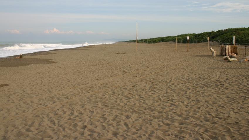 Controlli al mare da fine giugno «Recluteremo altro personale»