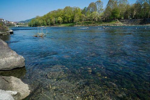 Acque più trasparenti nel Po solo grazie alla sedimentazione 