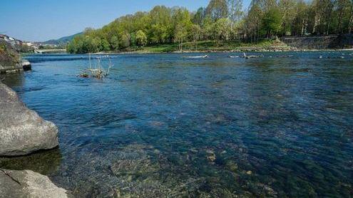 Acque più trasparenti nel Po solo grazie alla sedimentazione
