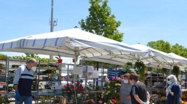 Mercato settimanale oggi il primo test con tutti i banchi