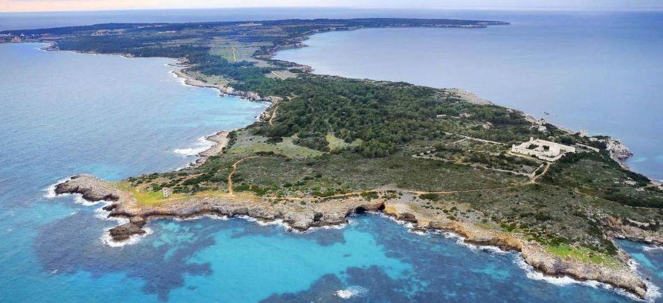 Turismo nautico a Pianosa, l’idea della Fondazione fa infuriare il Cigno Verde 