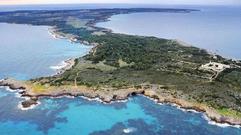 Turismo nautico a Pianosa, l’idea della Fondazione fa infuriare il Cigno Verde