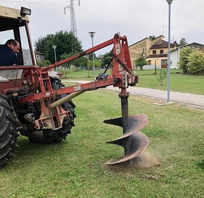 Nasce “Il Bosco del respiro” Già piantati i primi alberi 