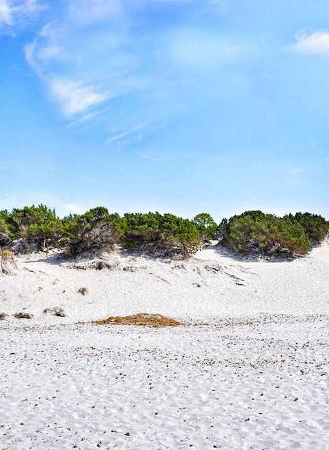 Ceas, progettazione in rete per il sistema Infeas