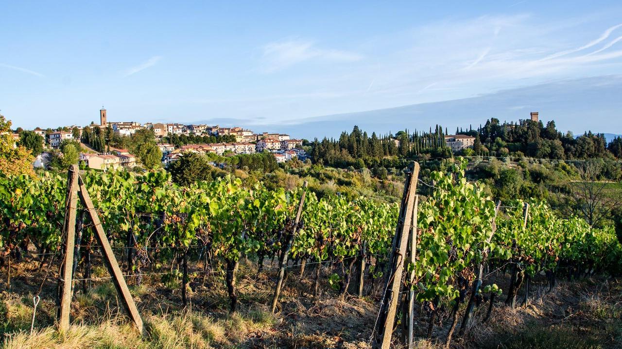 Una veduta di Montespertoli