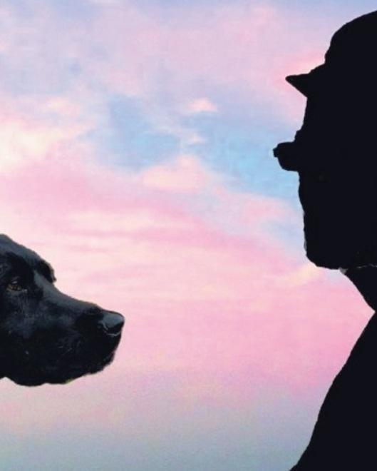 Il cane che è tornato a correre dopo 10 anni: aveva smesso per amore del padrone 