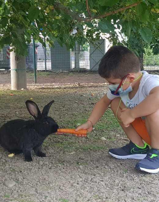 Alla scoperta dei conigli ospiti al parco Resistenza con i volontari Oipa 