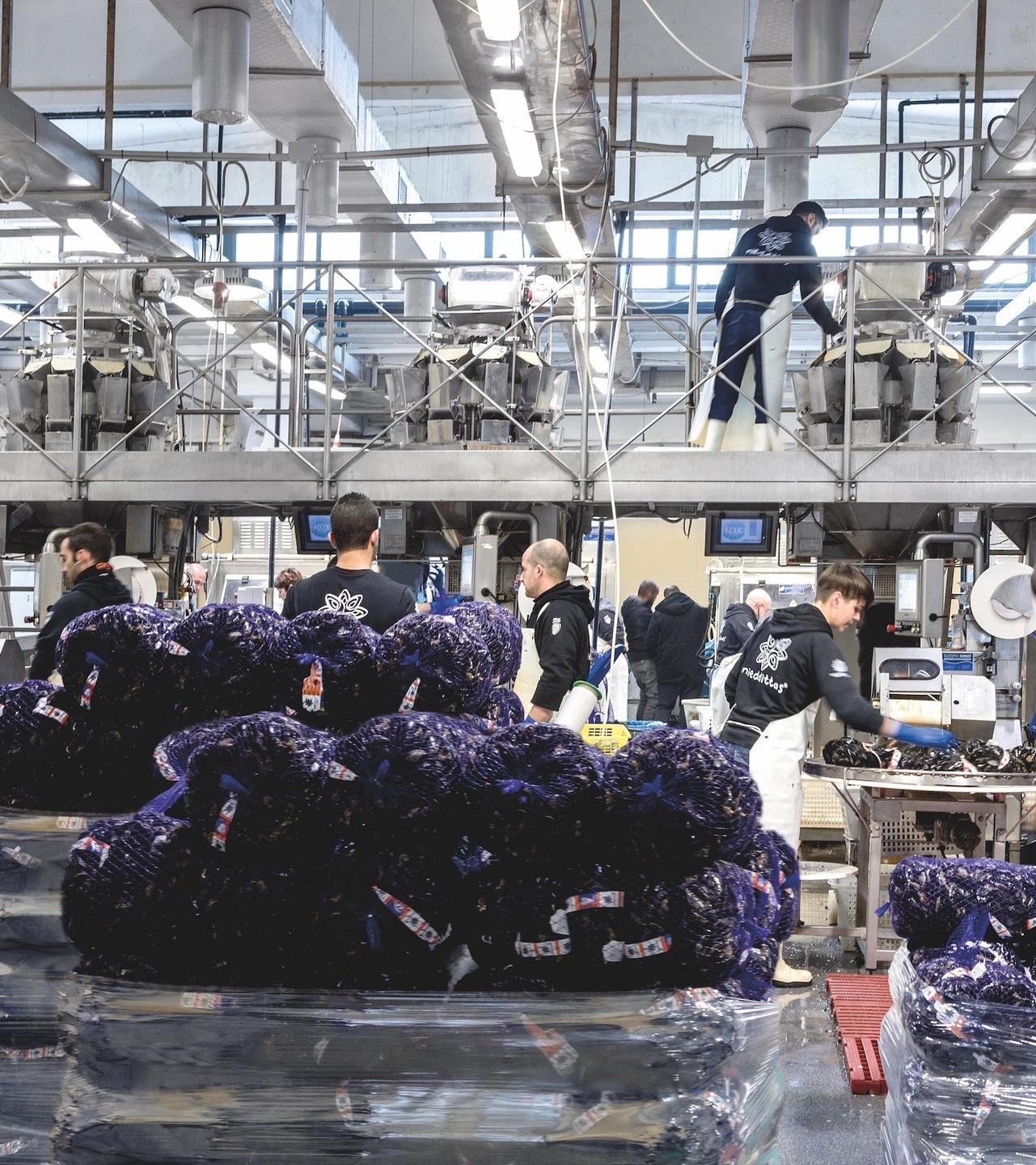 Fase 2, il gesto di Nieddittas: cozze gratis ai ristoranti 