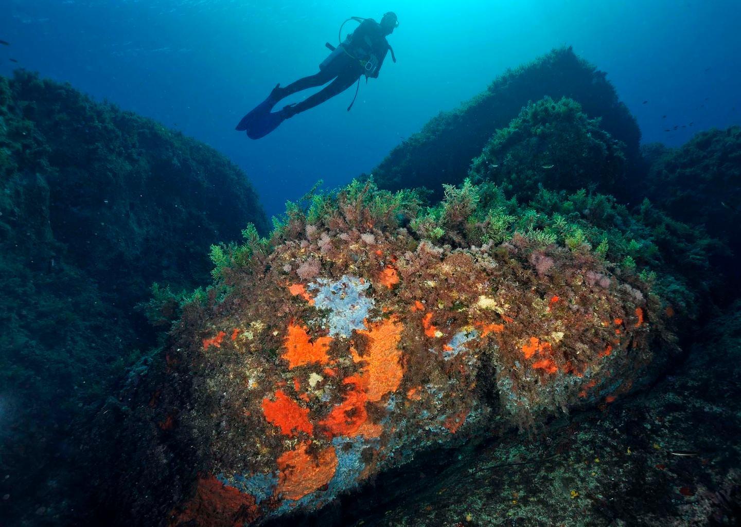 Piano del ministero per tutelare il Parco 