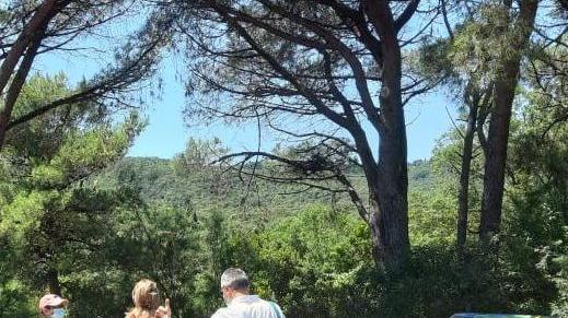 Taglio del nastro alla necropoli e primi visitatori della stagione 2020