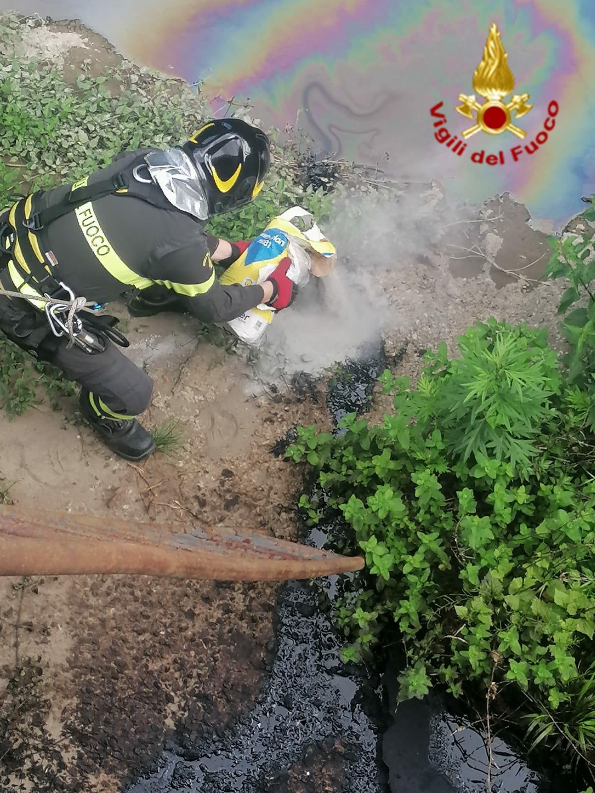 Le operazioni di bonifica dei vigili del fuoco di Montemurlo alla Briglia