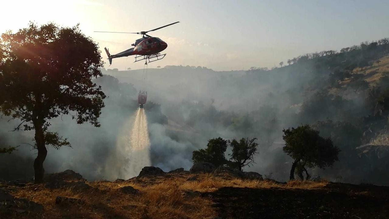 Sei incendi: a Talana e Maracalagonis ha operato anche un elicottero