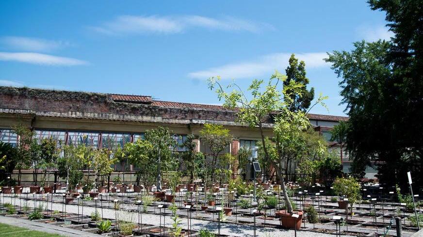I primi duecento anni dell’Orto Botanico in un percorso espositivo