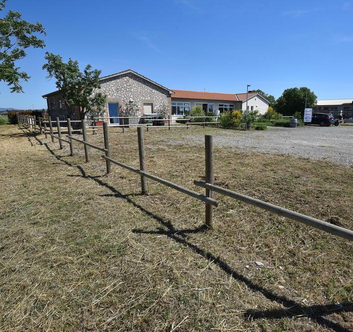 Divelta la staccionata del locale per rubare legna di castagno
