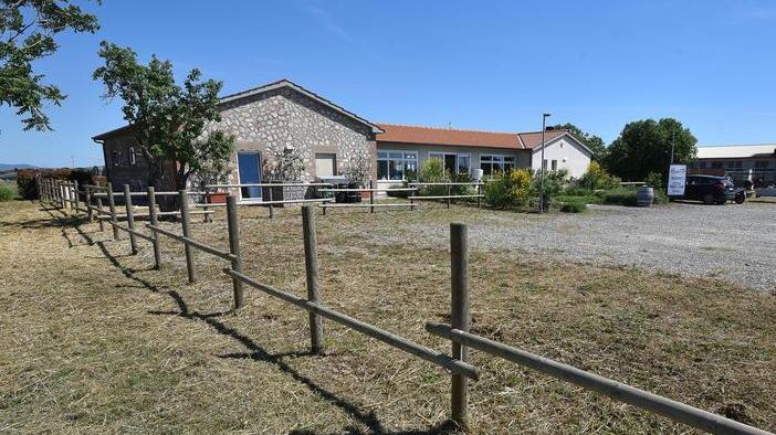 Divelta la staccionata del locale per rubare legna di castagno