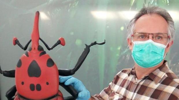 Dal punteruolo rosso alla formica argentina “importati” e pericolosi