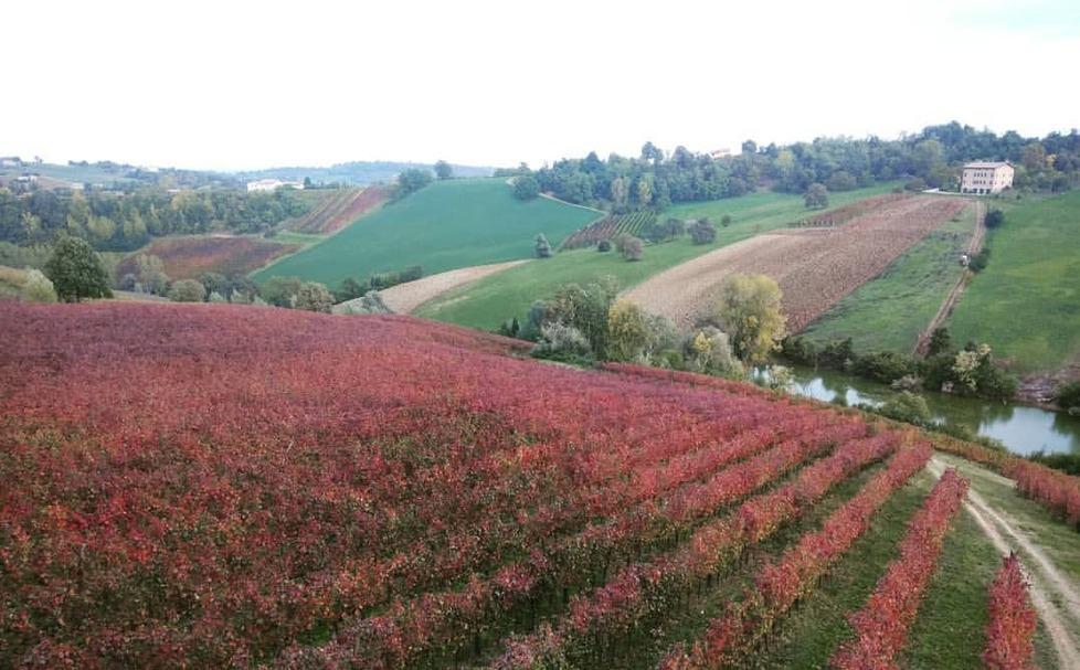 E sulle colline i 27,7° saranno norma