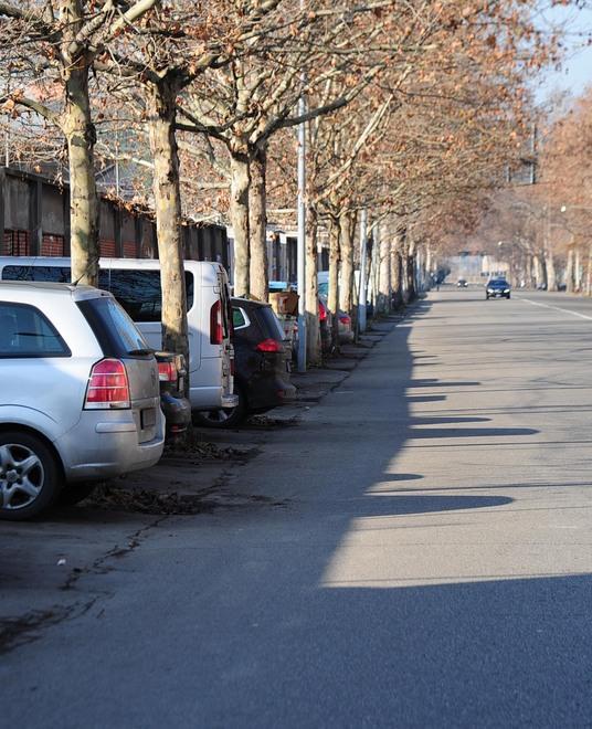 Ciclabile, aiuole, meno velocità: così cambia viale Montecuccoli 