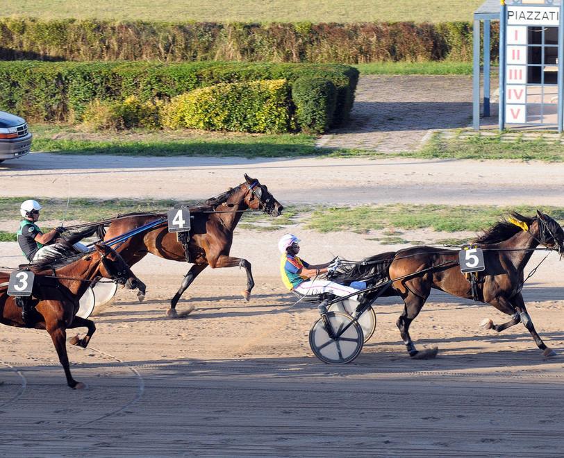 Oggi lo show “Modena nel cuore” corse benefiche all’ippodromo