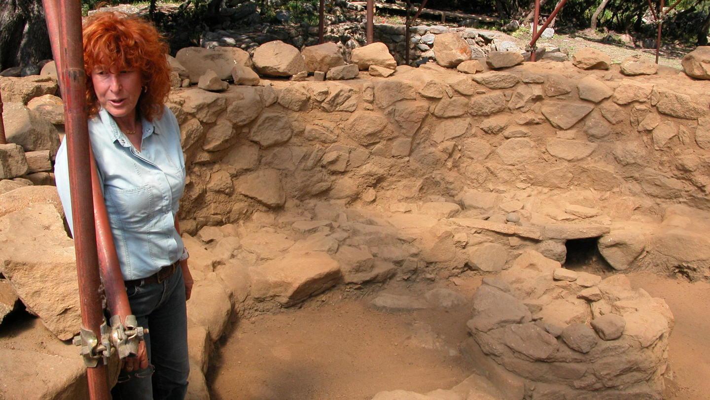 Furto al museo comunale rubati preziosi reperti 