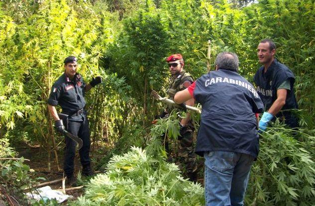 Droga in camera da letto: 12 chili di marijuana e coca 