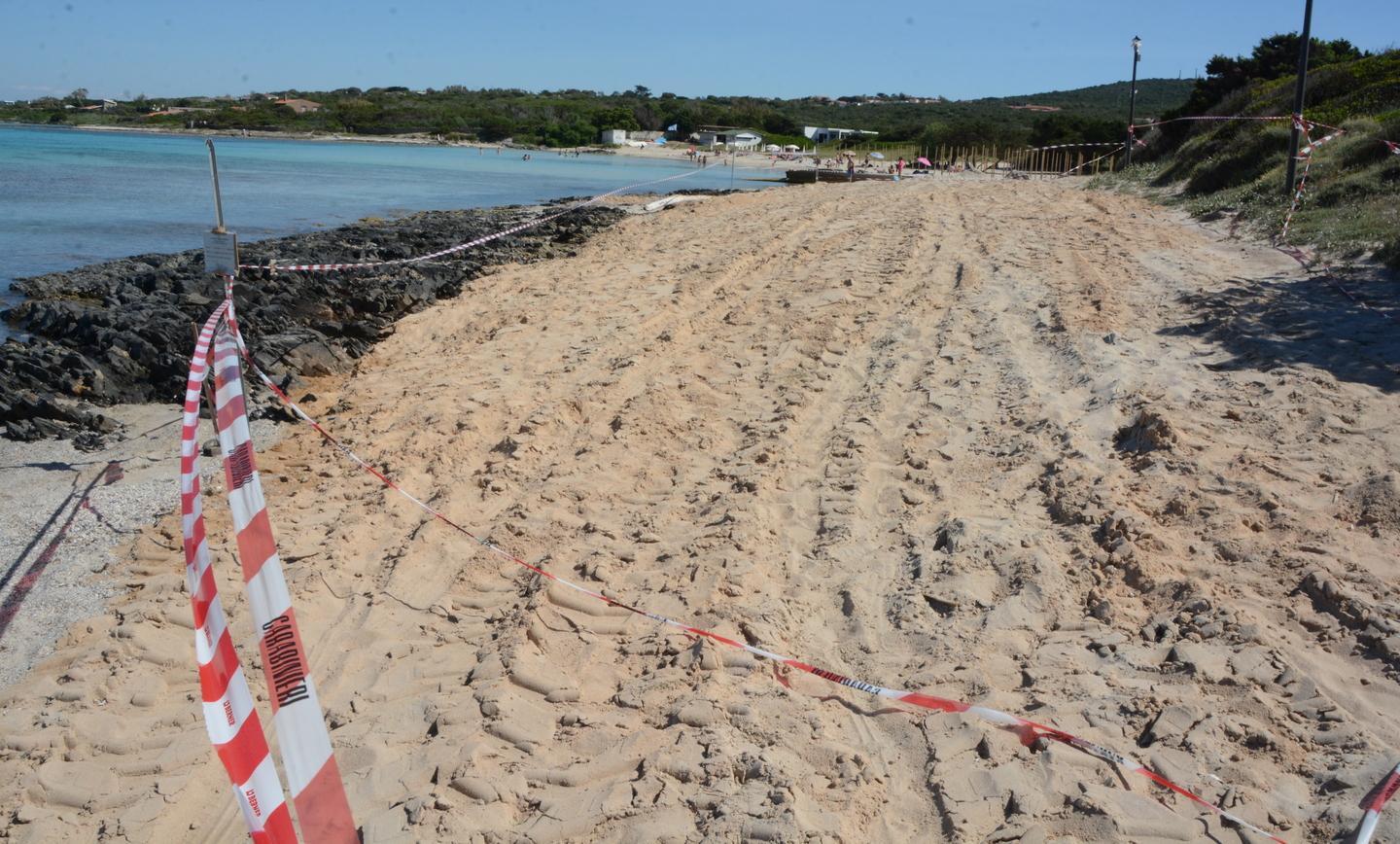 Sigilli alla spiaggia del Gabbiano 