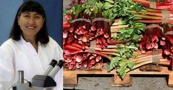 A sinistra, la dottoressa Barbara Conti