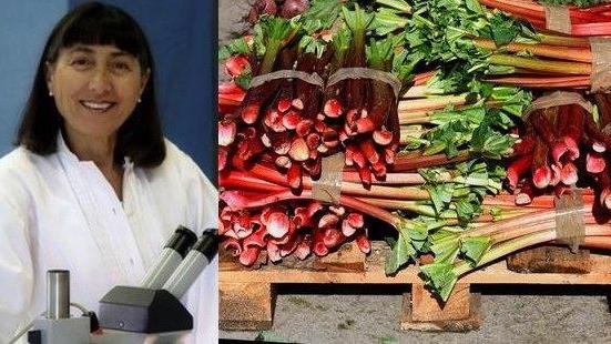A sinistra, la dottoressa Barbara Conti