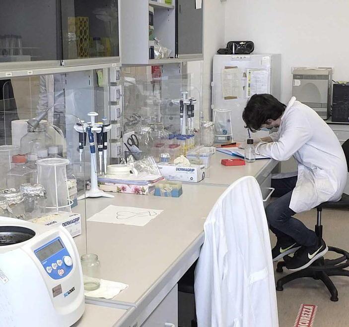 Malattie infettive e vaccini, lezione dell’immunologo Lanzavecchia